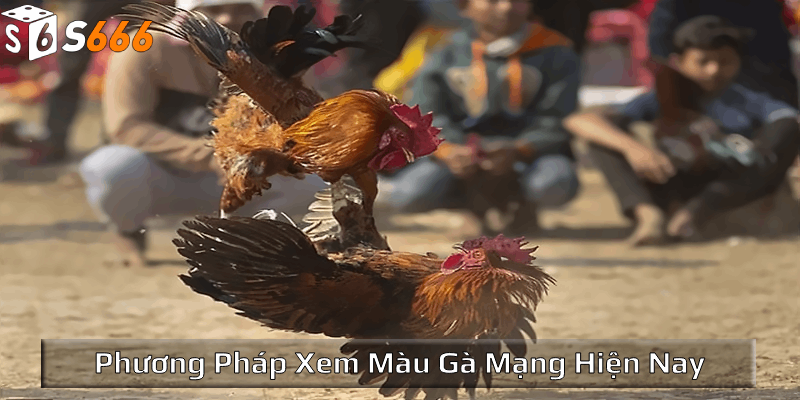 Phương pháp xem màu gà mạng hiện nay